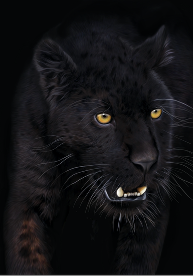 Back in Black
