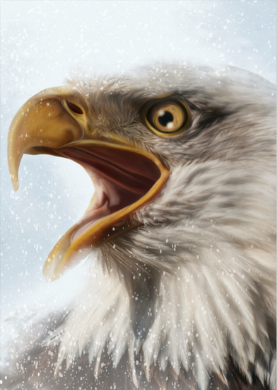 The Mighty Eagle