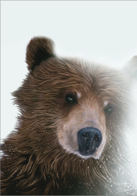 Grizzly